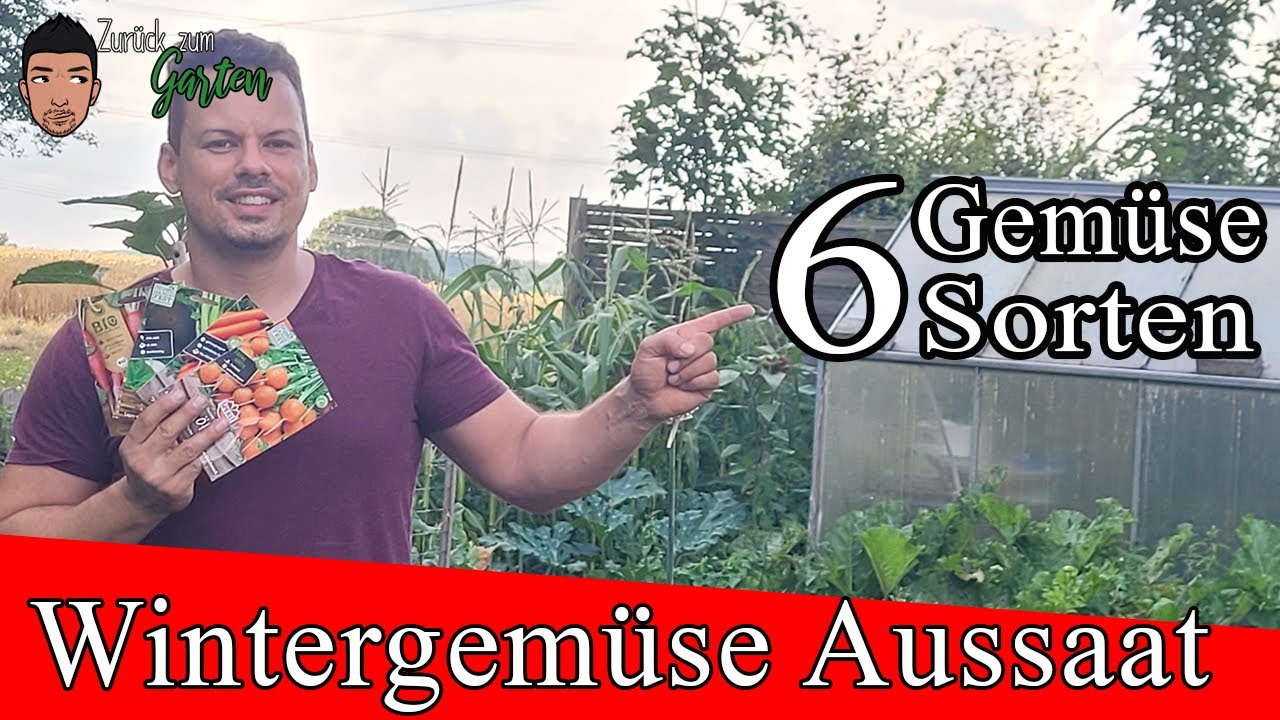 Jetzt ans Wintergemüse denken - Diese 6 Sorten sichern dir die Ernte im Winter