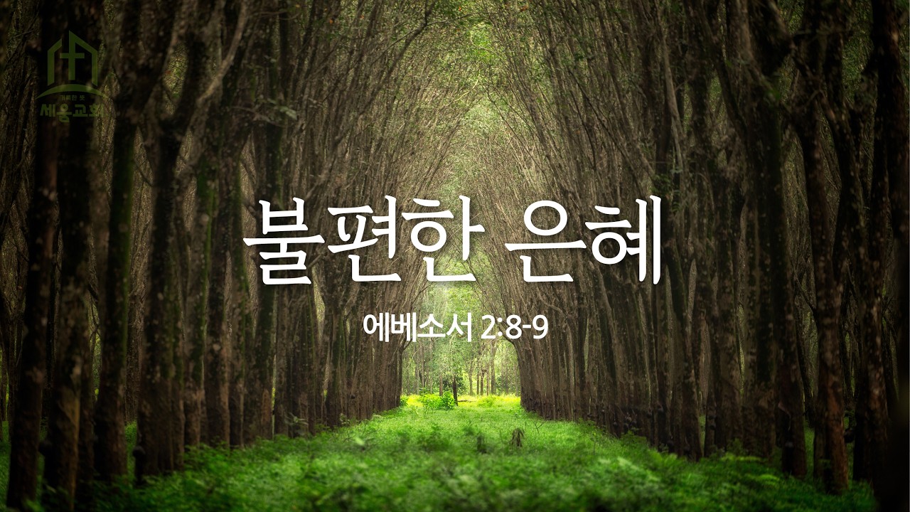 20260315 | 주일예배 | 불편한 은혜 (에베소서 2장8-9절) | 이학성 담임목사 | 거룩한 뜻 세움교회