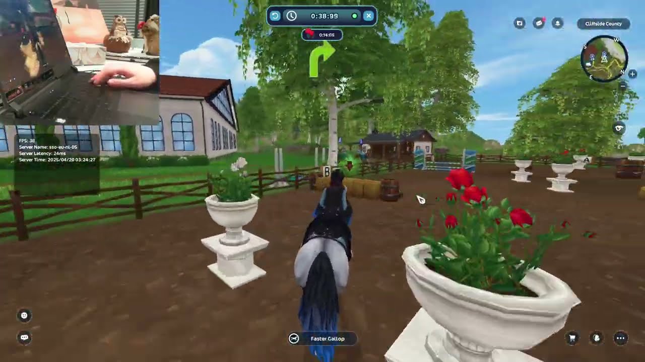 Silverglade Working Equitation Intermediate Shortcuts ~ 41:40 ~ Star Stable Online