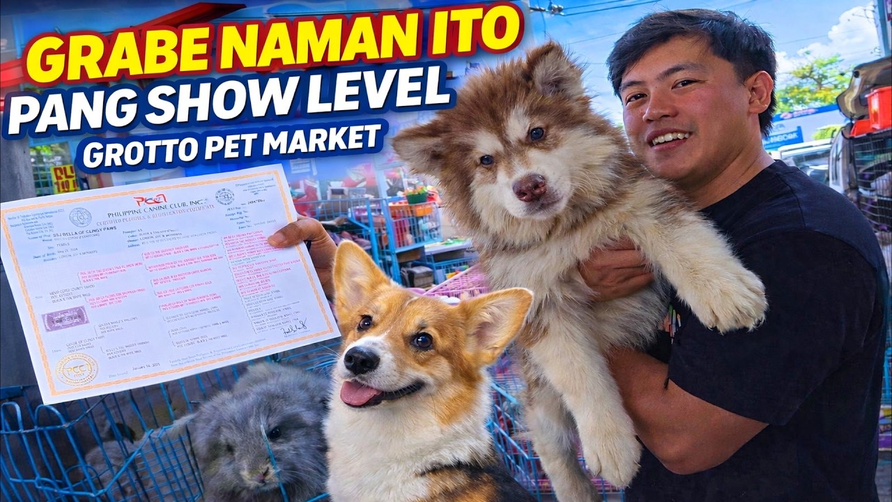 GRABE PANG SHOW ANG QUALITY! Grotto Pet Market Dogs, Cats and Birds