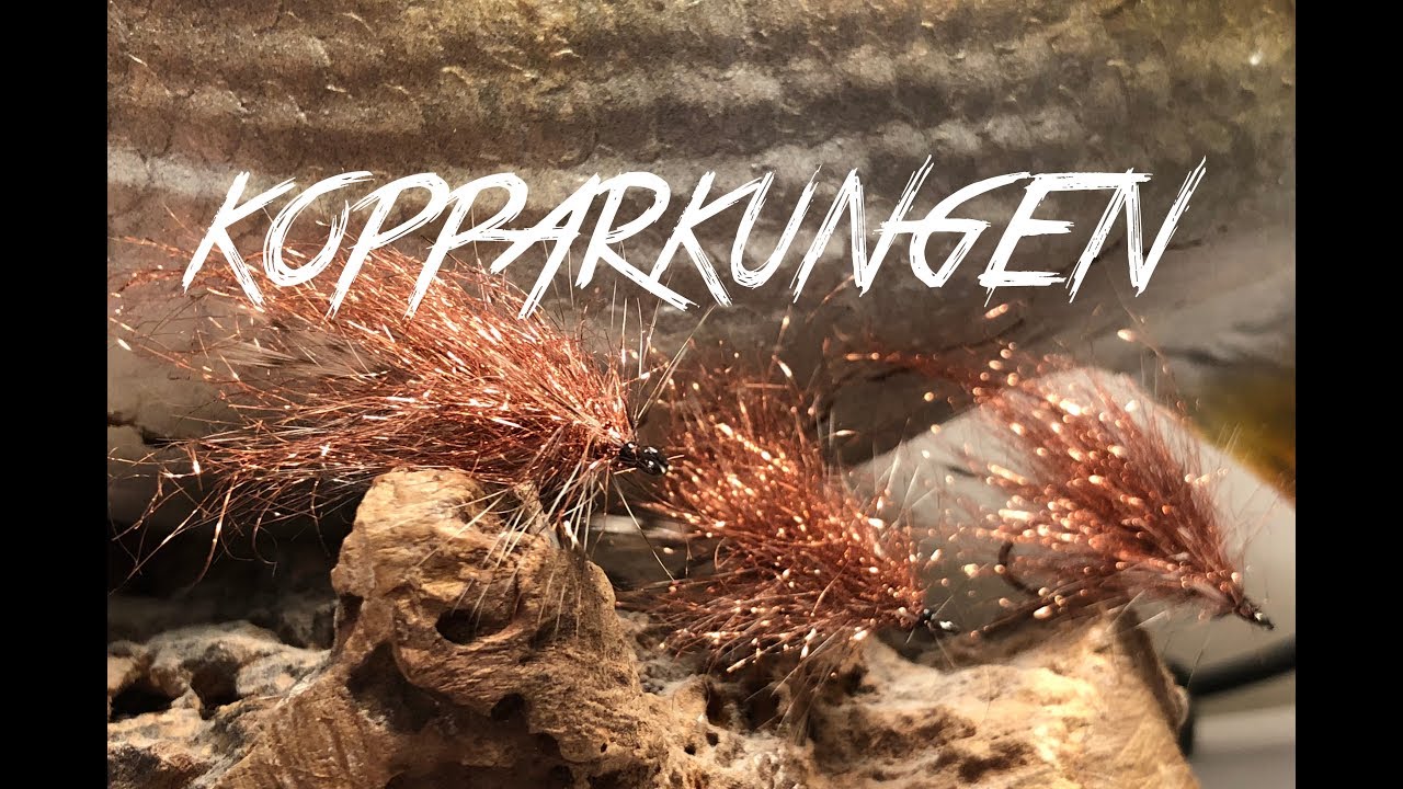 flugbindning (kopparkungen)