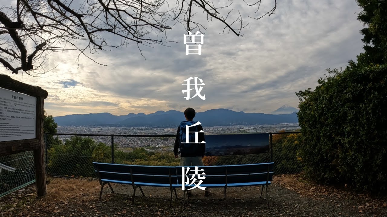 久しぶりの曽我丘陵で秋の訪れを感じる!