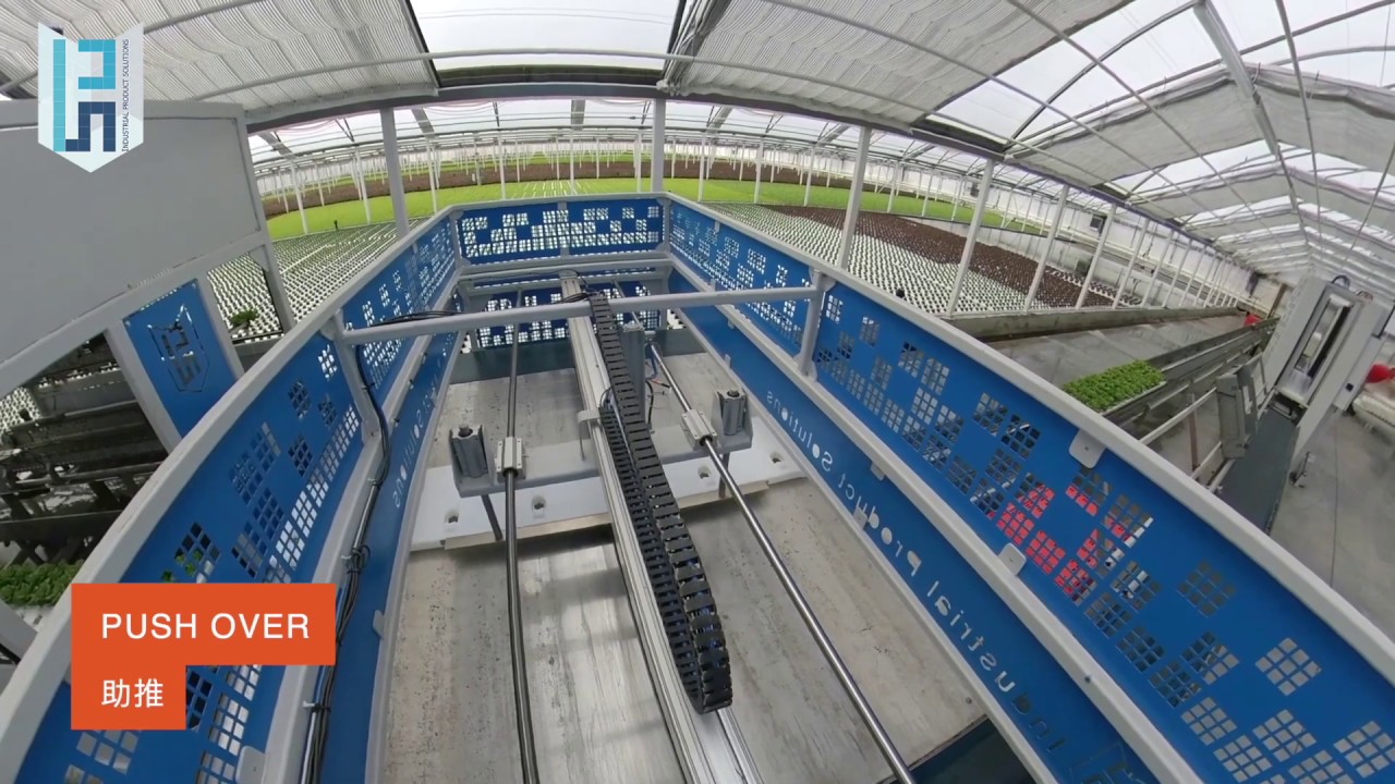 Hydroponics DFT System