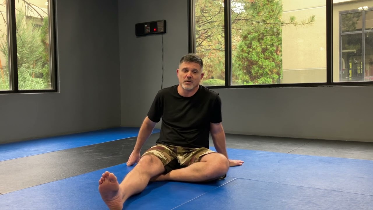 BJJ after total hip replacement #2
