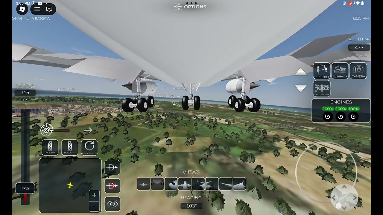 Project flight MD11 Japan airlines smooth landing (almost veered off the runaway)