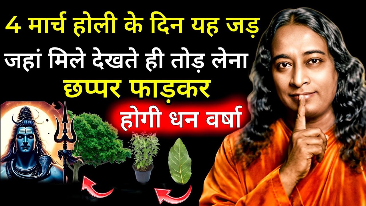 4 मार्च होली के दिन यह जड़ जहां मिले देखते ही तोड़ लेना छप्पर फाड़कर होगी धन वर्षा