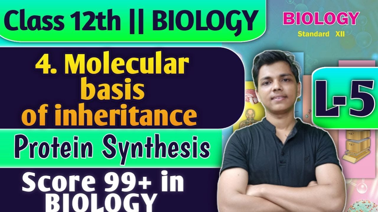 L-5 | 4. Molecular basis of inheritance Class 12 Biology By New Indian era Replication of DNA