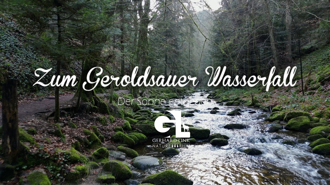 WANDERUNG  ZUM GEROLDSAUER WASSERFALL  - Schwarzwald (Black Forest) 4K 🇩🇪 🥾 🌲 🌳🌻