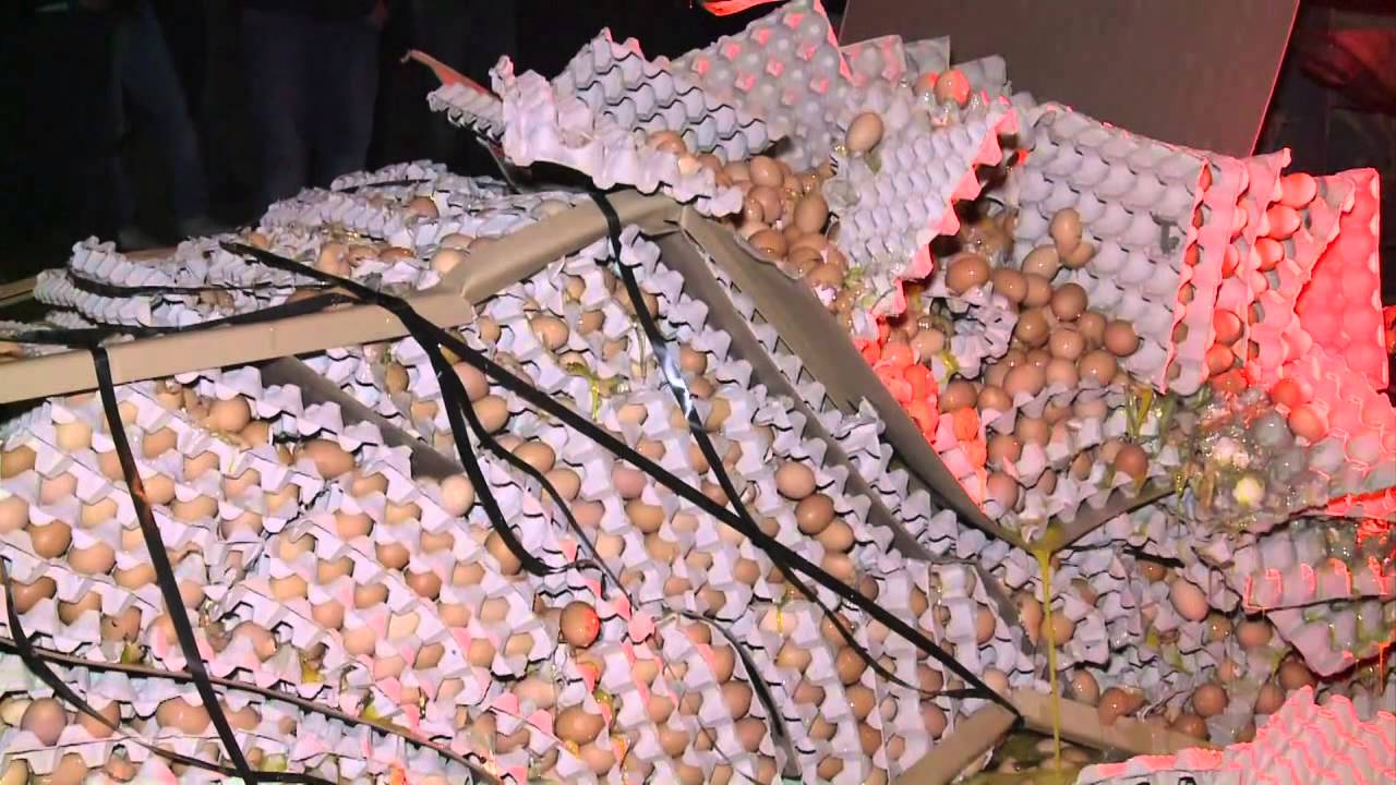 French farmers smash eggs in protest over low prices