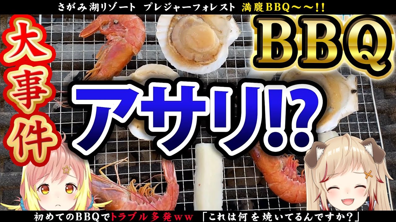 【 ひかるいロケ#3 】悲報。BBQで大事件？！ｗインドアひかりとアウトドアるいの日常【飛良ひかり┋瀬島るい┋ななしいんく】