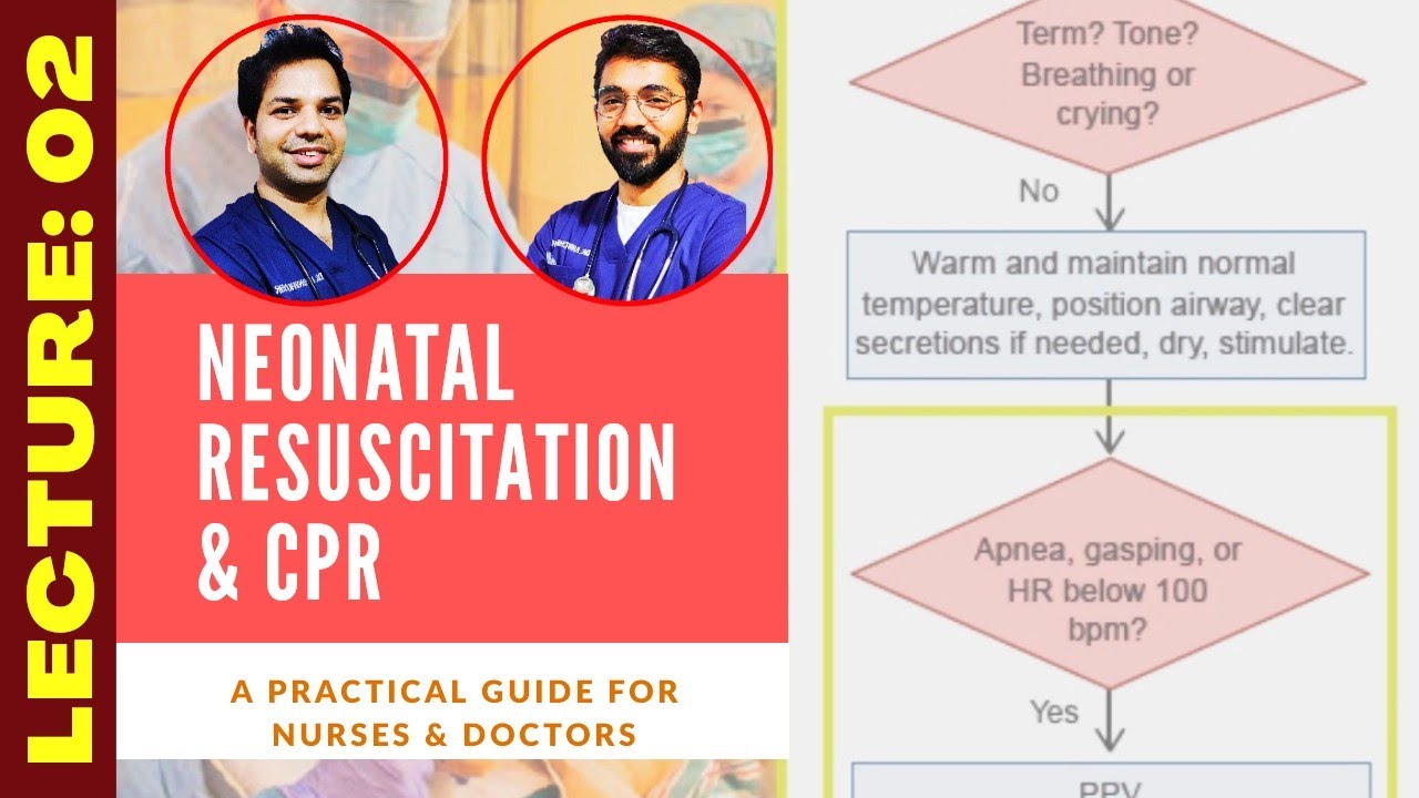 NRP: Neonatal Resuscitation and CPR