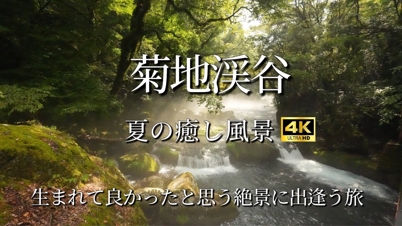 【菊池渓谷】＃九州の絶景＃自然清涼風景#ASMR#涼しい