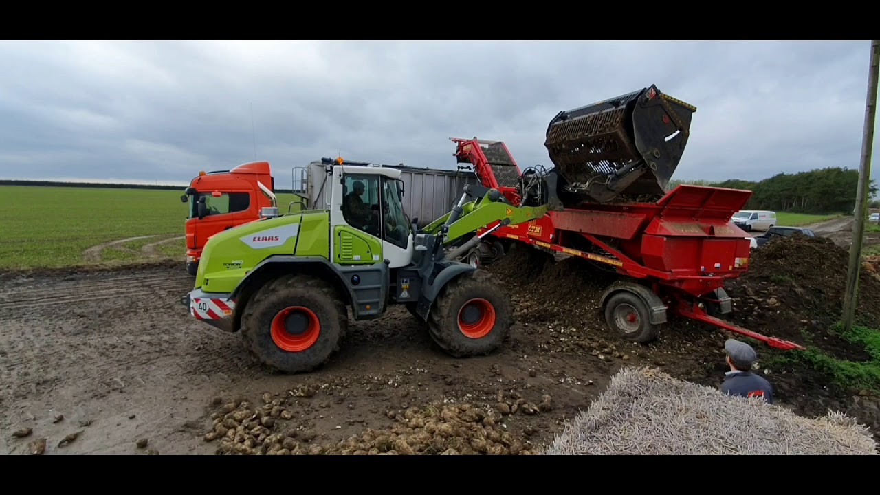 CLAAS TORION - Sugar beet 2020