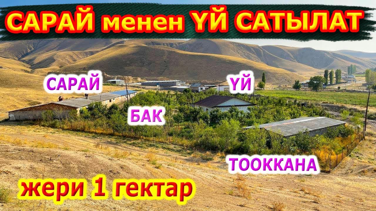 Эээ туугандар! Мындайды КӨРӨЛЕКСИЗ! Даяр мал САРАЙ менен ҮЙ сатылат