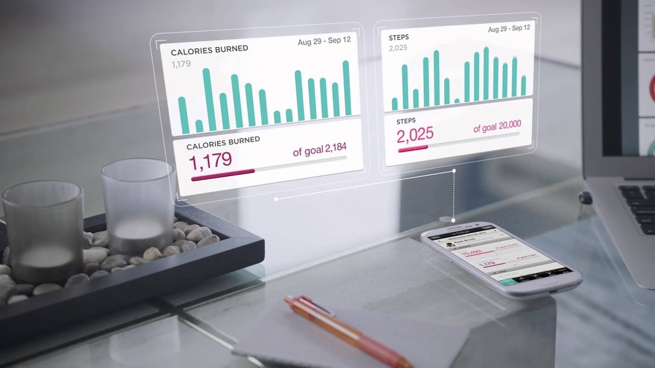 Fitbit Flex