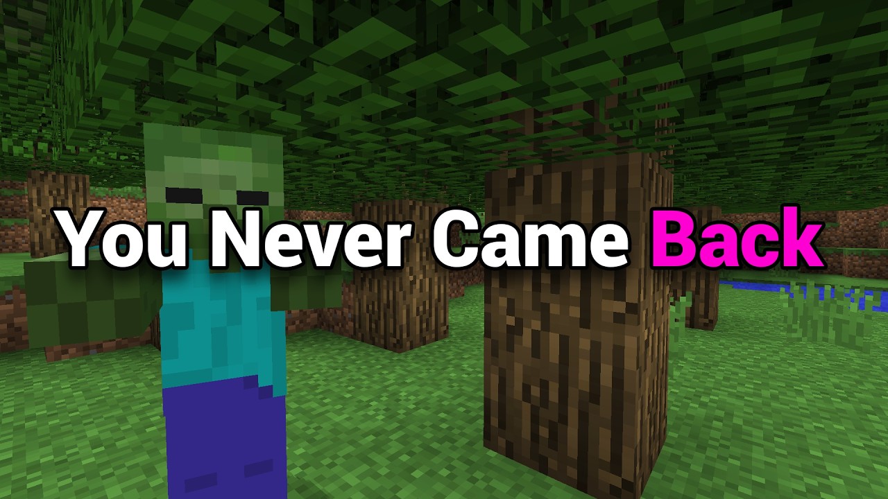 You Never Came Back