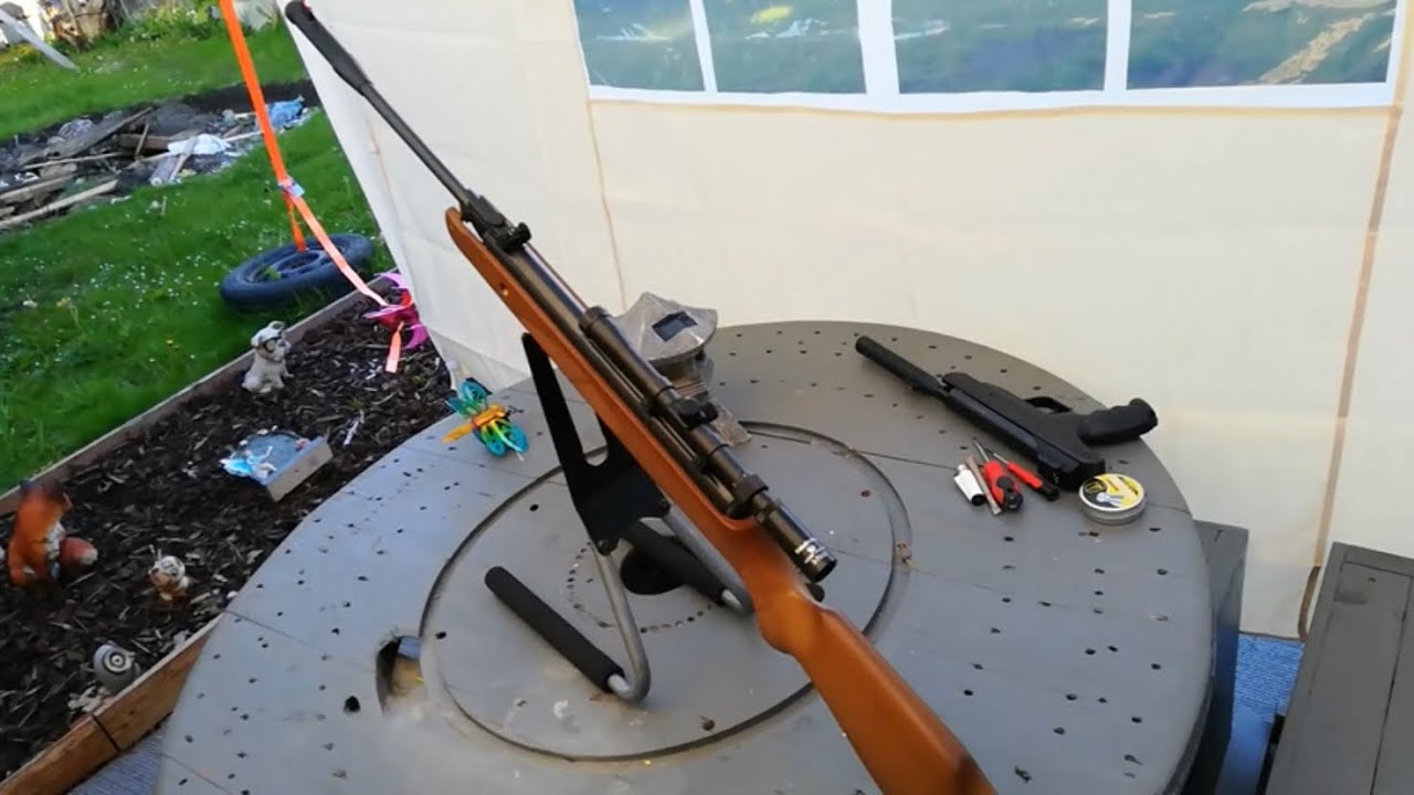 Remington 22. Pest controller plinking