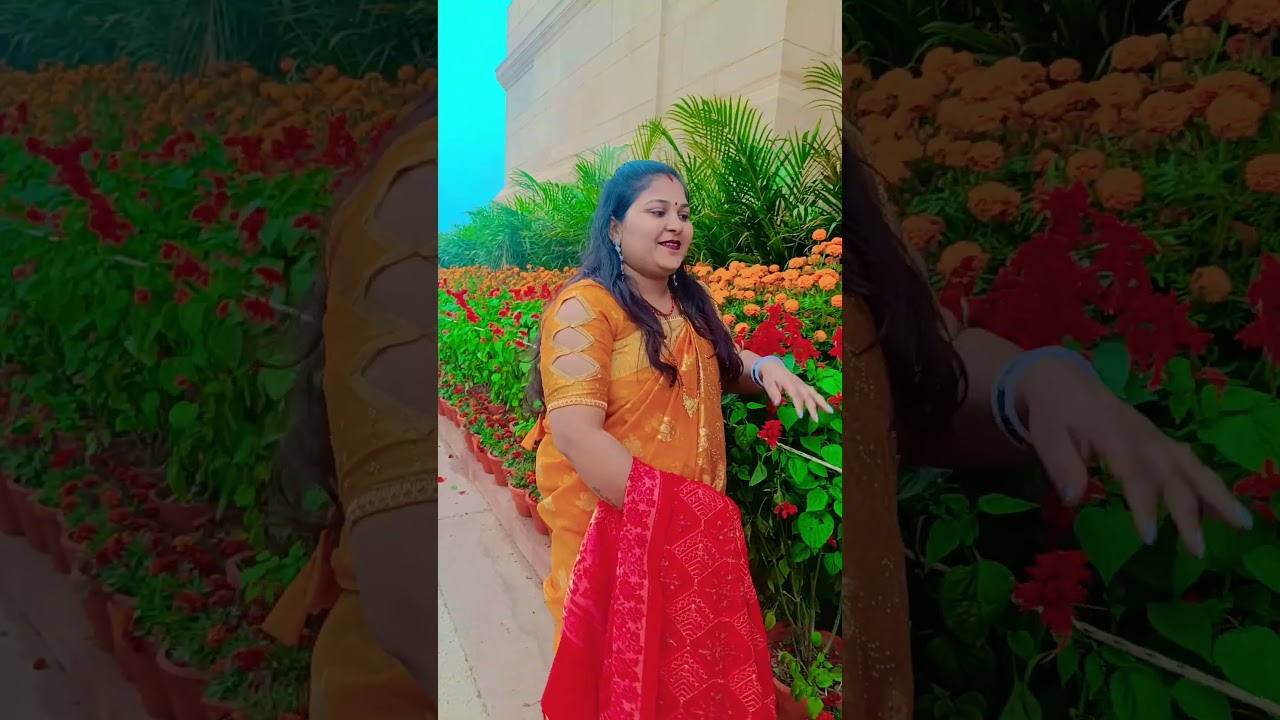 ham peyar hai humhare#bollywood #song #hindisong #trending #shortsviral