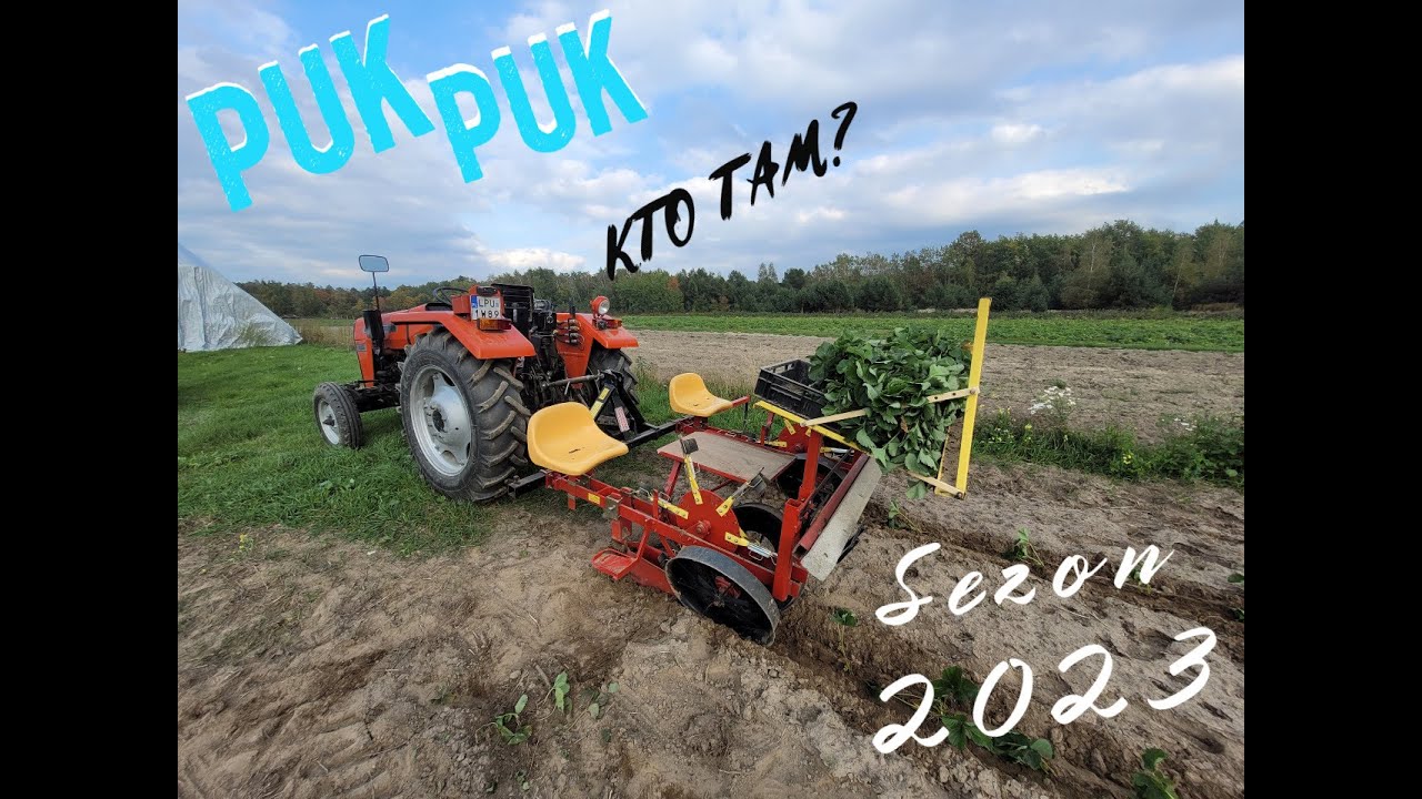 Nowe zasadzenia truskawek na naszej plantacji ☆  Przygotowania na sezon 2023 w pełni ☆