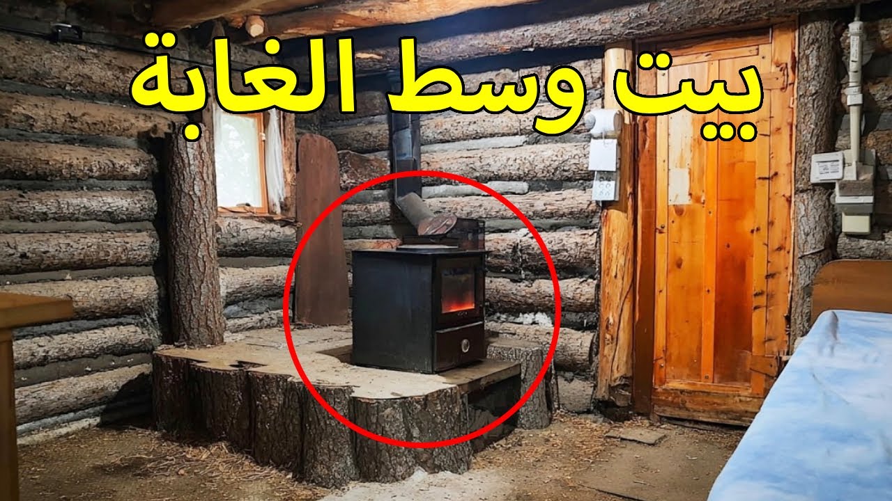 كيف يعيش رجل وحده 180 يومًا ويبني كوخ بقاء خشبي في قلب البرية
