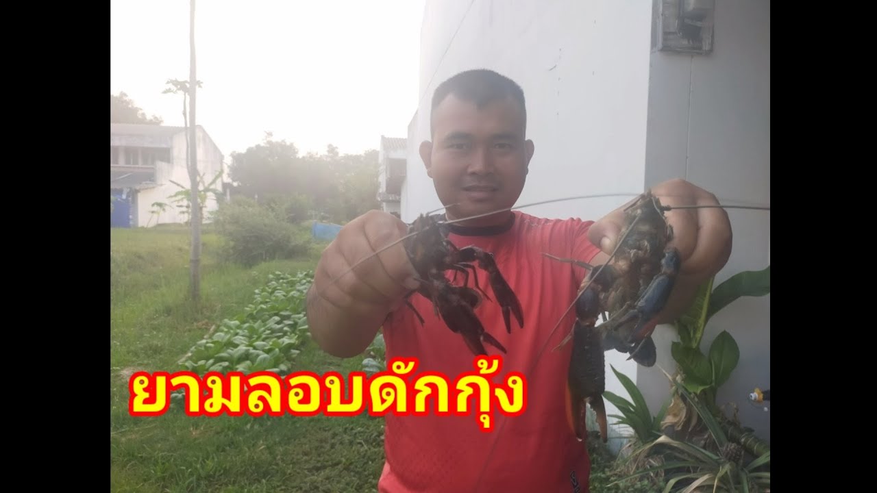 ยามลอบกุ้งยามเช้า