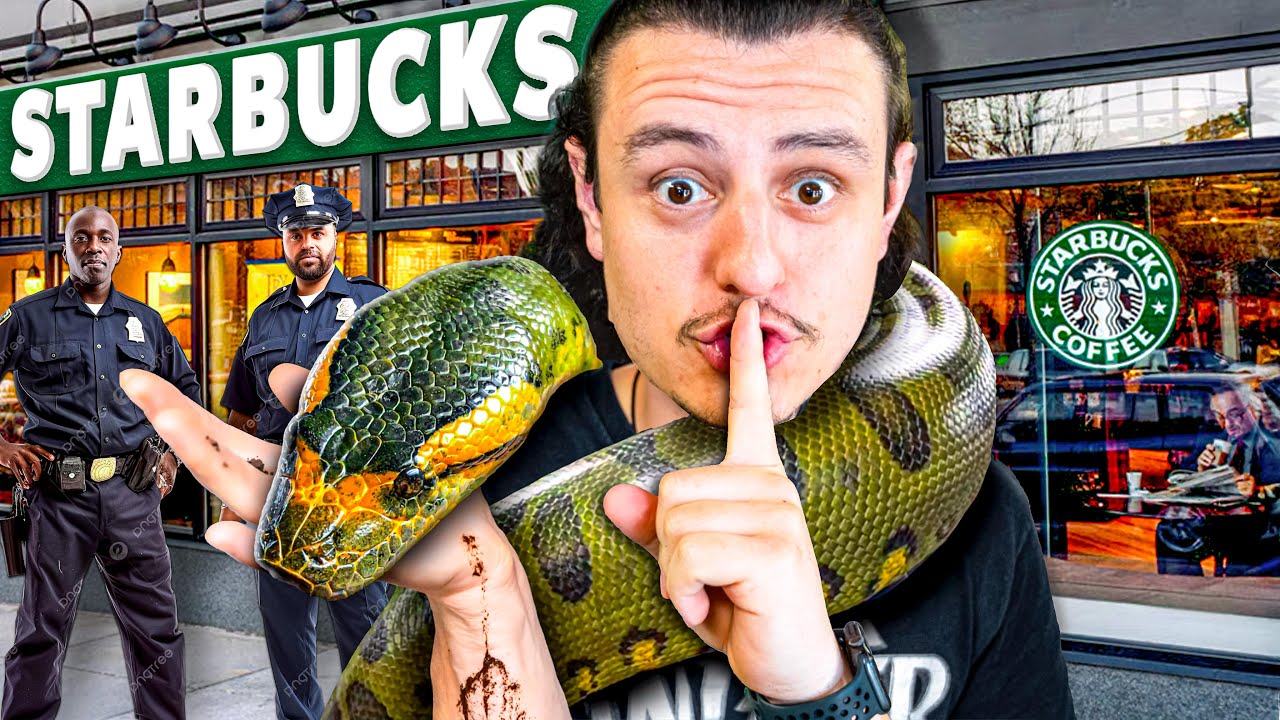 My Snakes Got Me Kicked Out Of Starbucks!