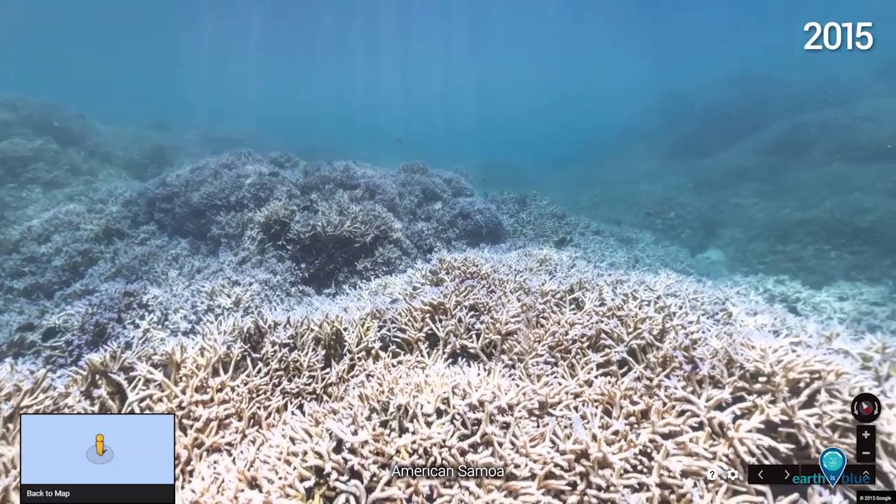 Your Earth Is Blue: Coral Bleaching