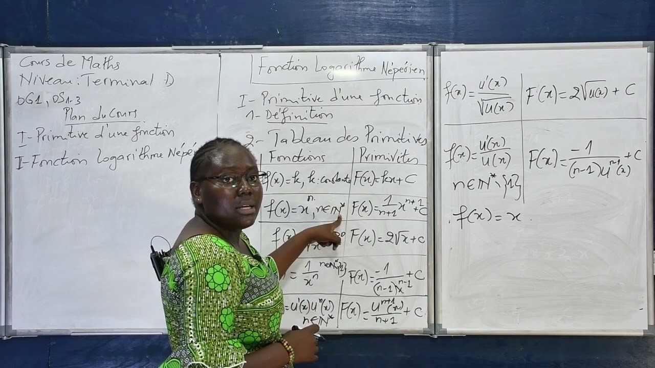 Cours de Mathématiques - Fonction Logarithme Népérien. Niveau Terminale D