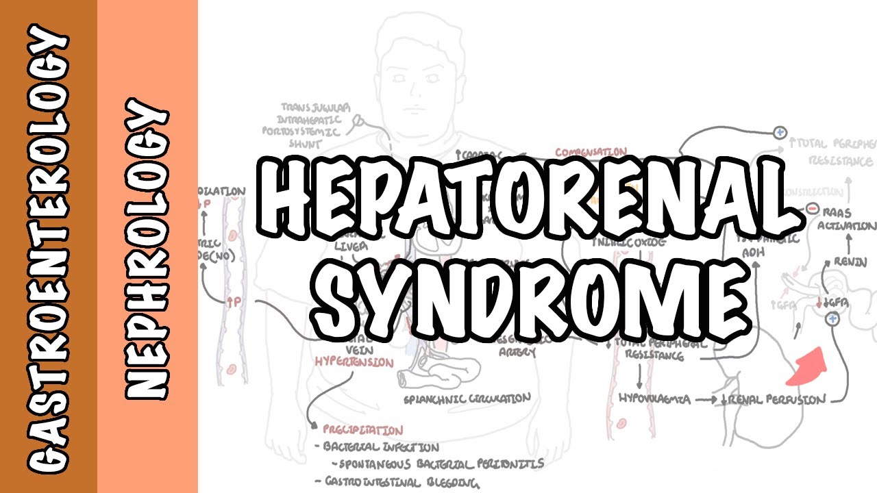 Hepatorenal Syndrome - causes, pathophysiology and mechanism