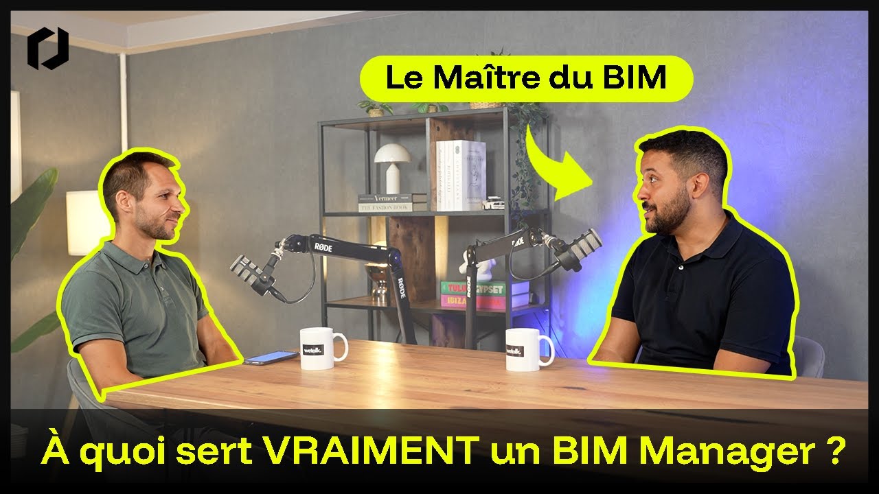 A quoi sert VRAIMENT un BIM Manager ?