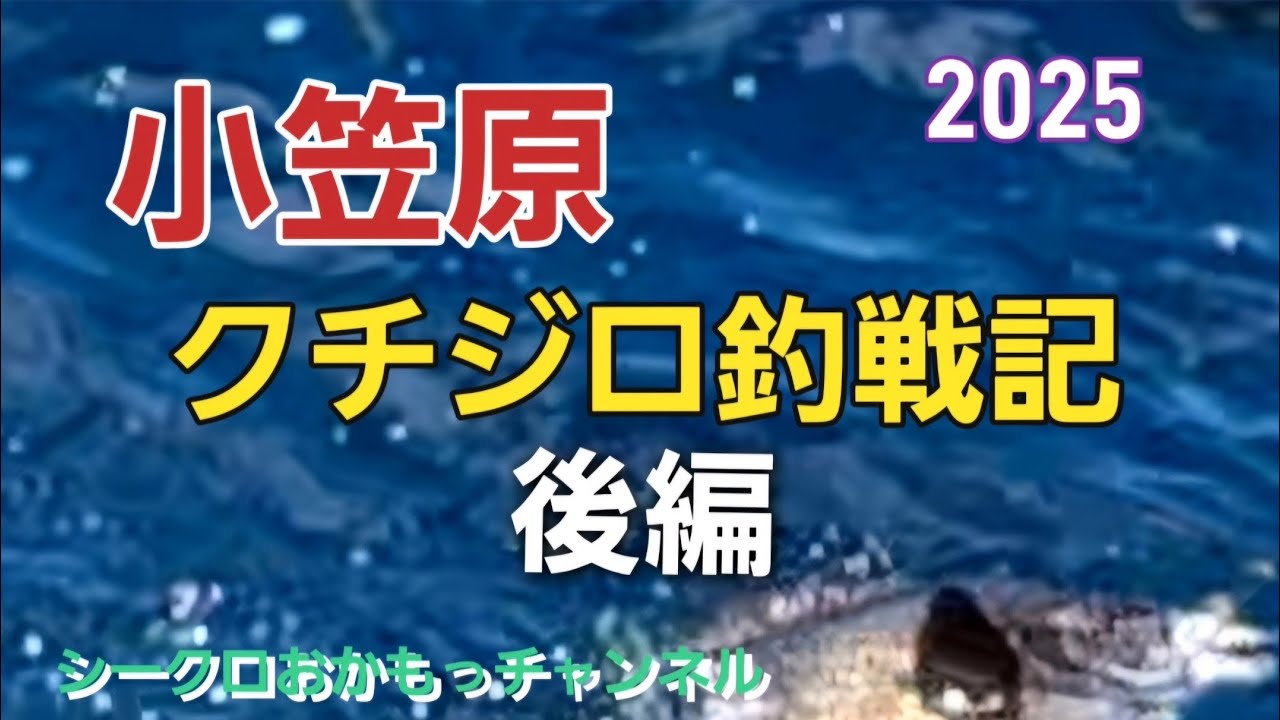 [石鯛釣り]小笠原クチジロ釣戦記・後編2025#磯釣り #イシダイ釣り#小笠原諸島 #クチジロ釣り #口白