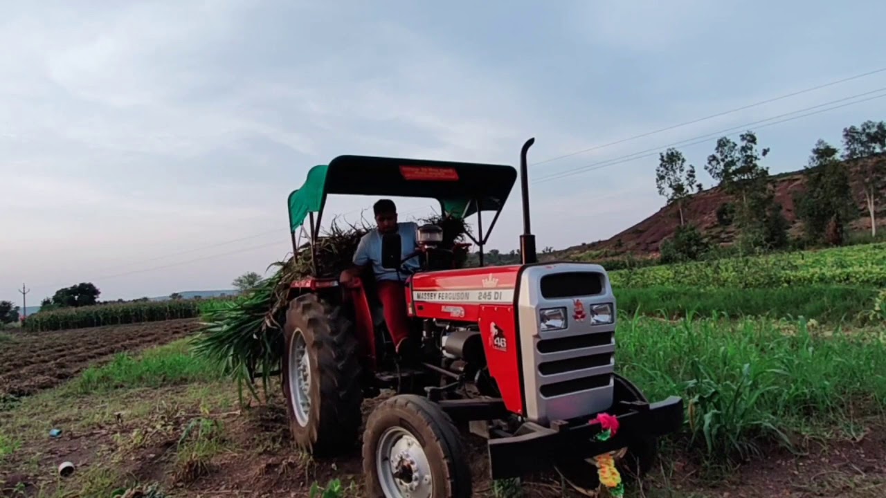 MF 245 DI planetary plus // #Masseytractor