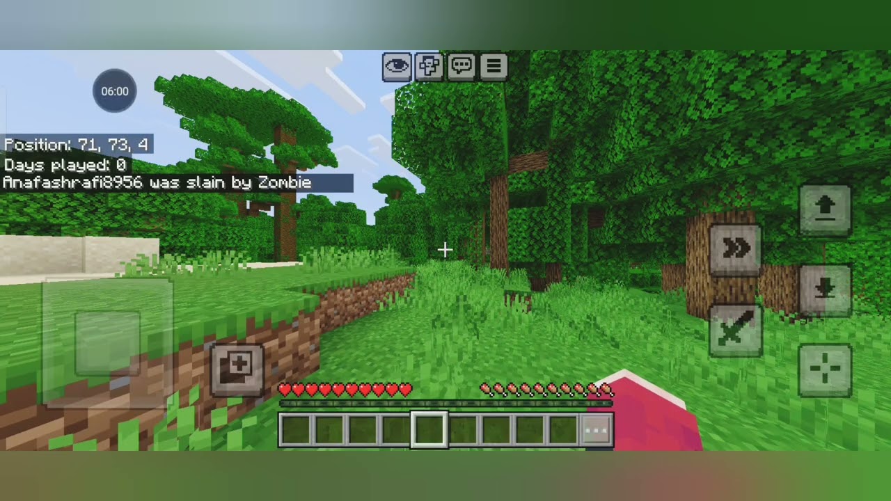 Survival world #minecraft #video 