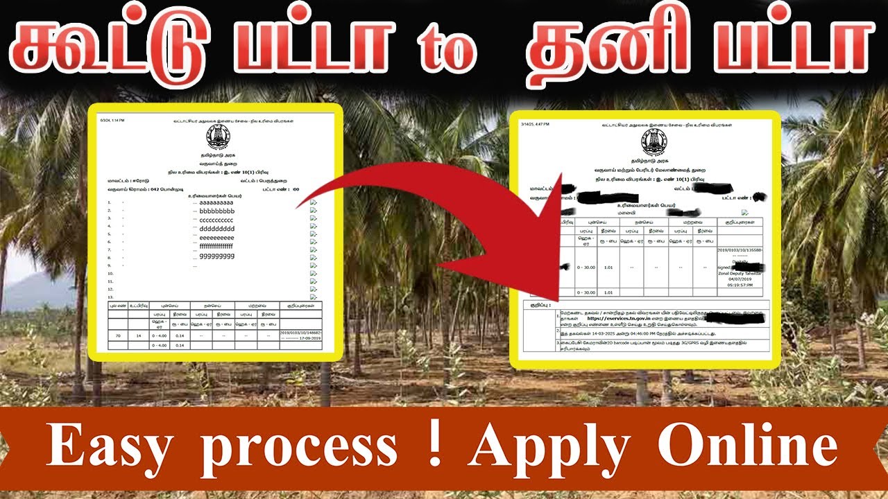 📢 கூட்டு பட்டாவில் இருந்து தனி பட்டா பெறுவது எப்படி? முழு வழிமுறை!