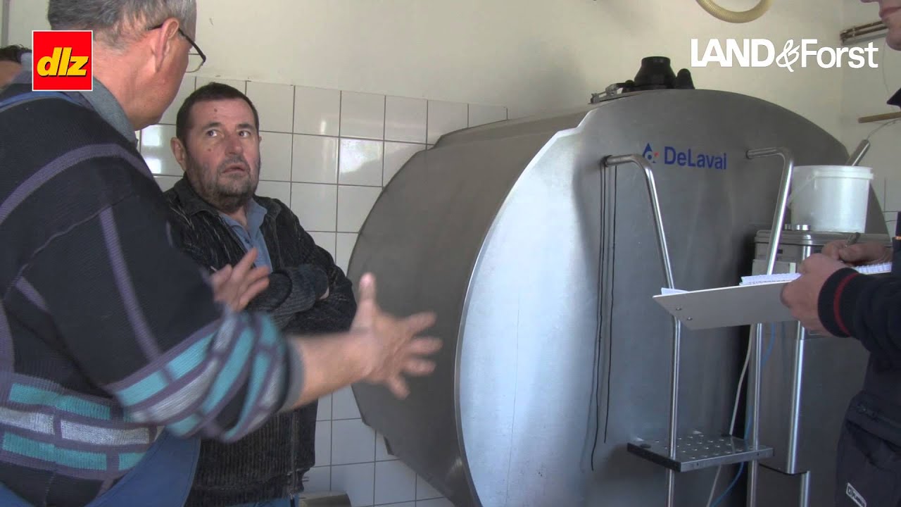 Milchviehhaltung in Ungarn: Kostendruck zum Quotenende