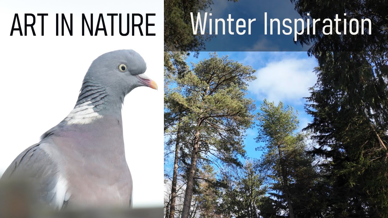 Art in Nature - Winter Inspiration
