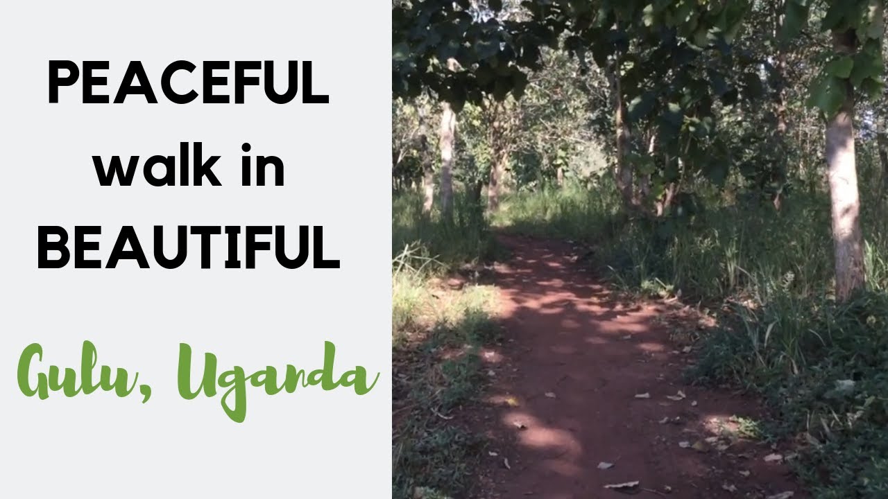 A peaceful walk through beautiful farmland in North Uganda | Life Abroad in Africa