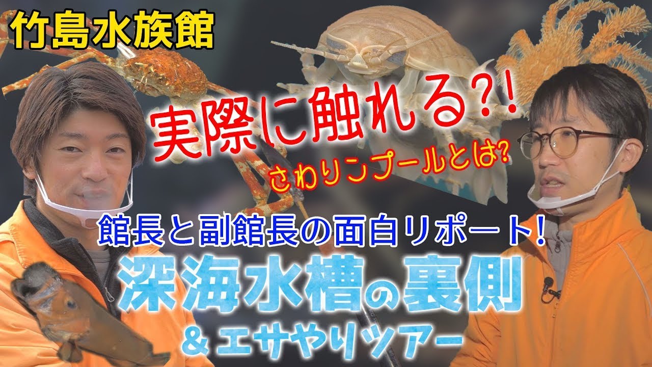 竹島水族館紹介映像Vol.01「深海水槽の裏側＆エサやりツアー」