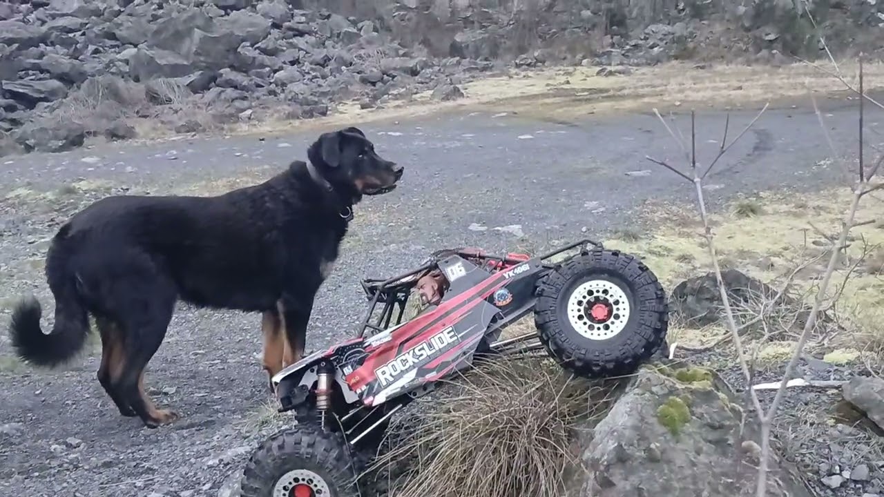 Une autre bonne soirer avec le yikong  rock slide  une sacree machine😃😅😅