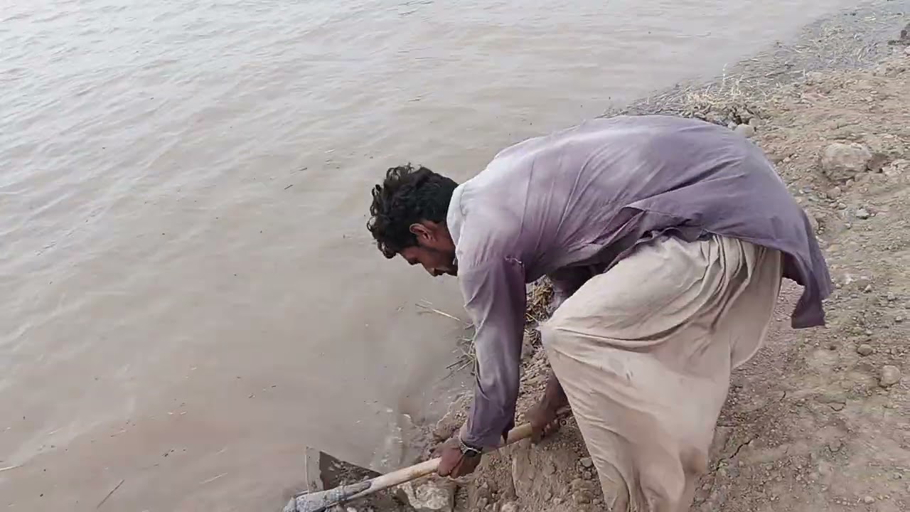 High flood jalalpur pirwala Multan | Satluj Chenab river high flood | flood in Pakistan 2025 #flood