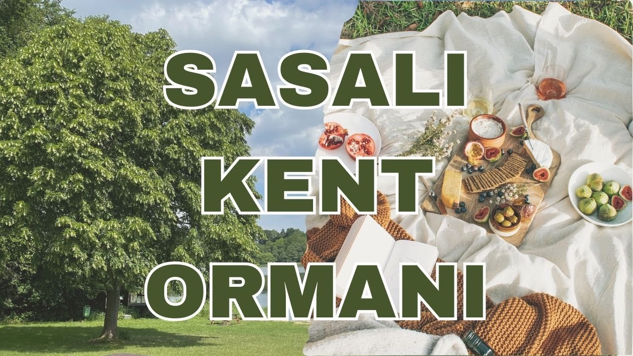 İZMİR SASALI KENT ORMANI | PİKNİK VE MANGAL YAPTIK
