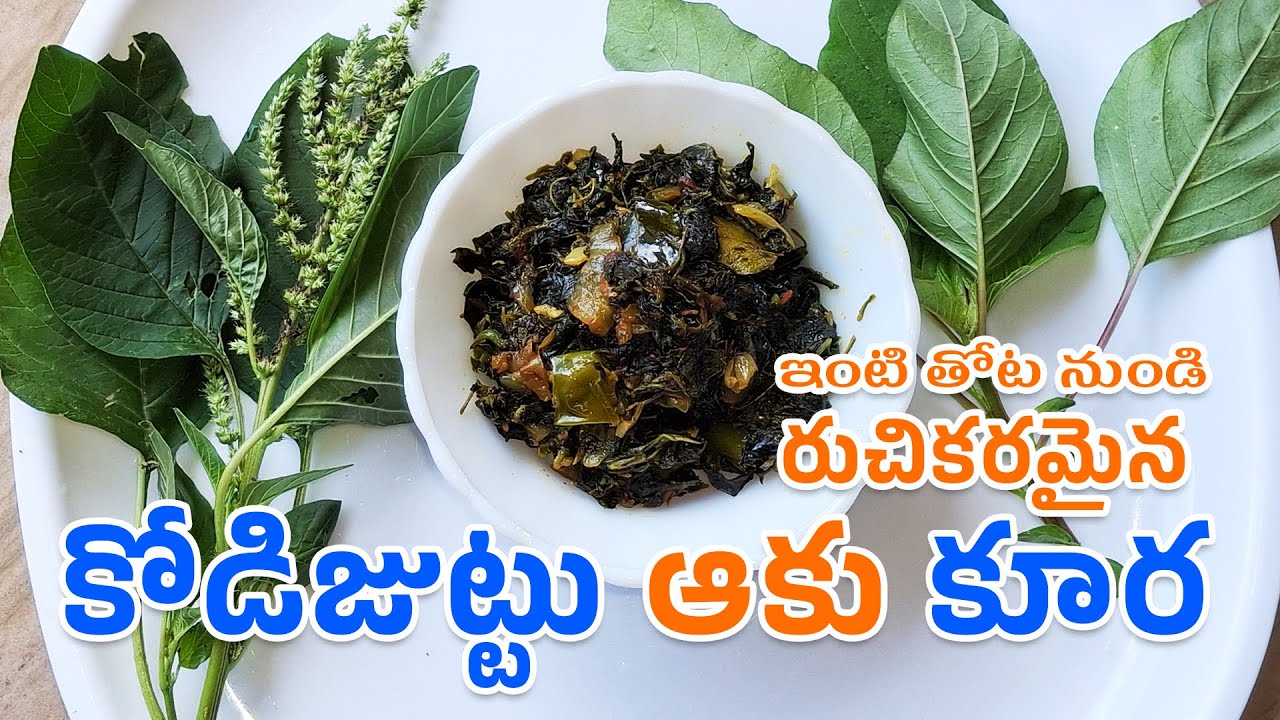 From Garden to Plate Healthy Dose of Kodijuttu Aku Kura ఇంటి తోట నుండి రుచికరమైన కోడిజుట్టు ఆకు కూర