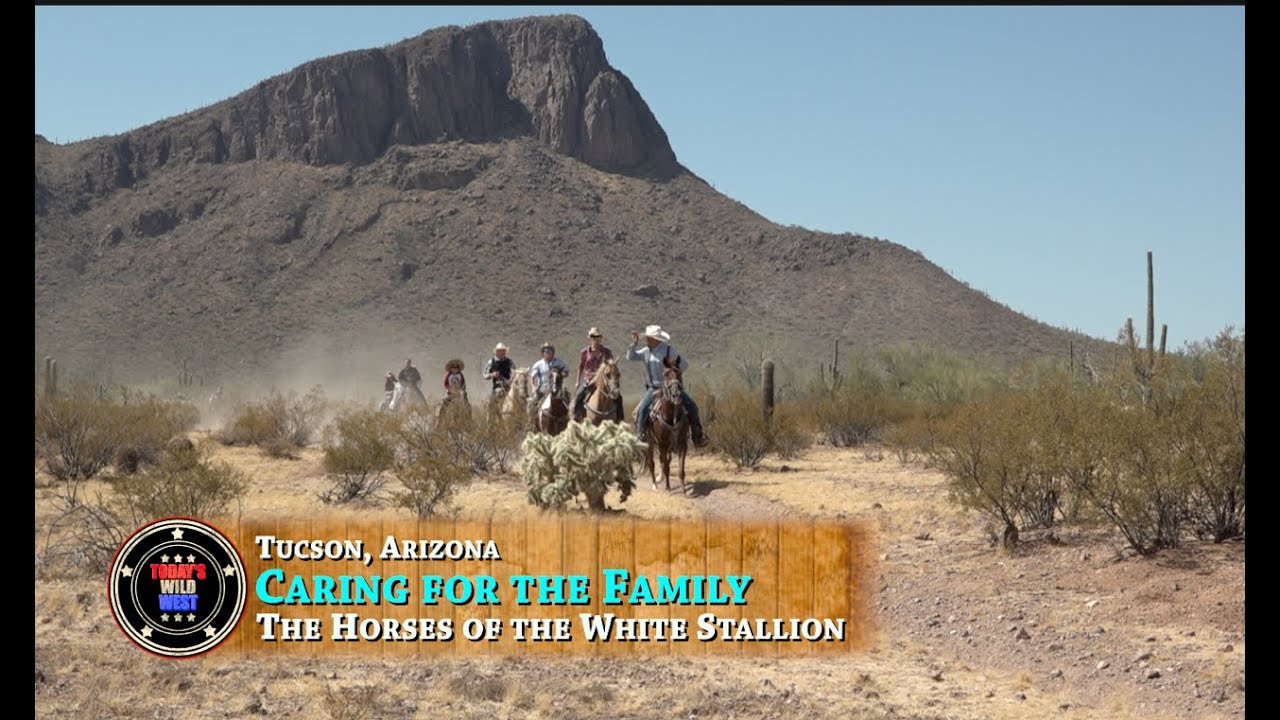 160 for Breakfast: Caring for the Horses of the White Stallion Ranch