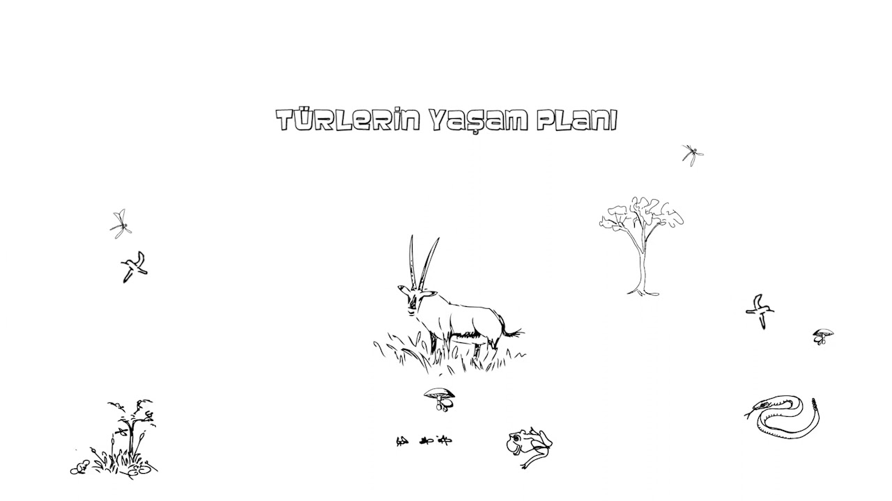 Doğal Kaynakları Koruma ve Biyolojik Çeşitliliği Kurtarma Yarışı (Fen Bilimleri) (Biyoloji)