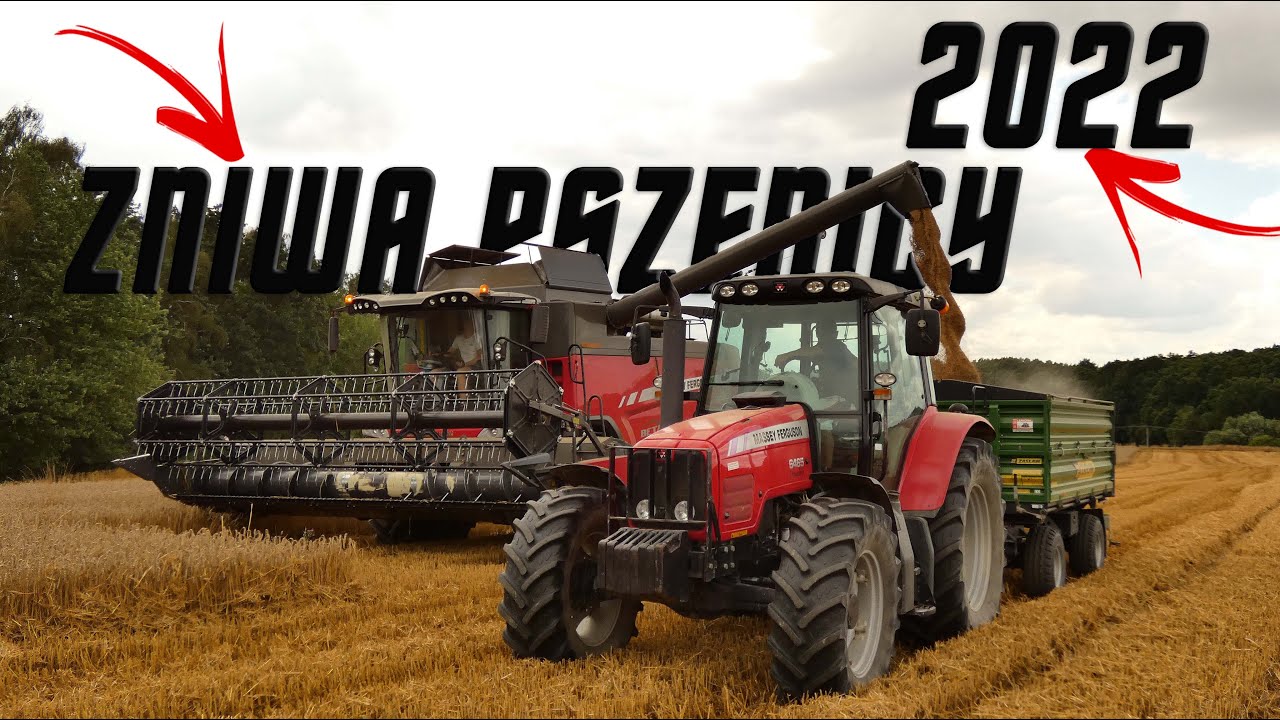 Żniwa Pszenicy z Masseyami 2022🔥 Pokazuje prawie 10T?