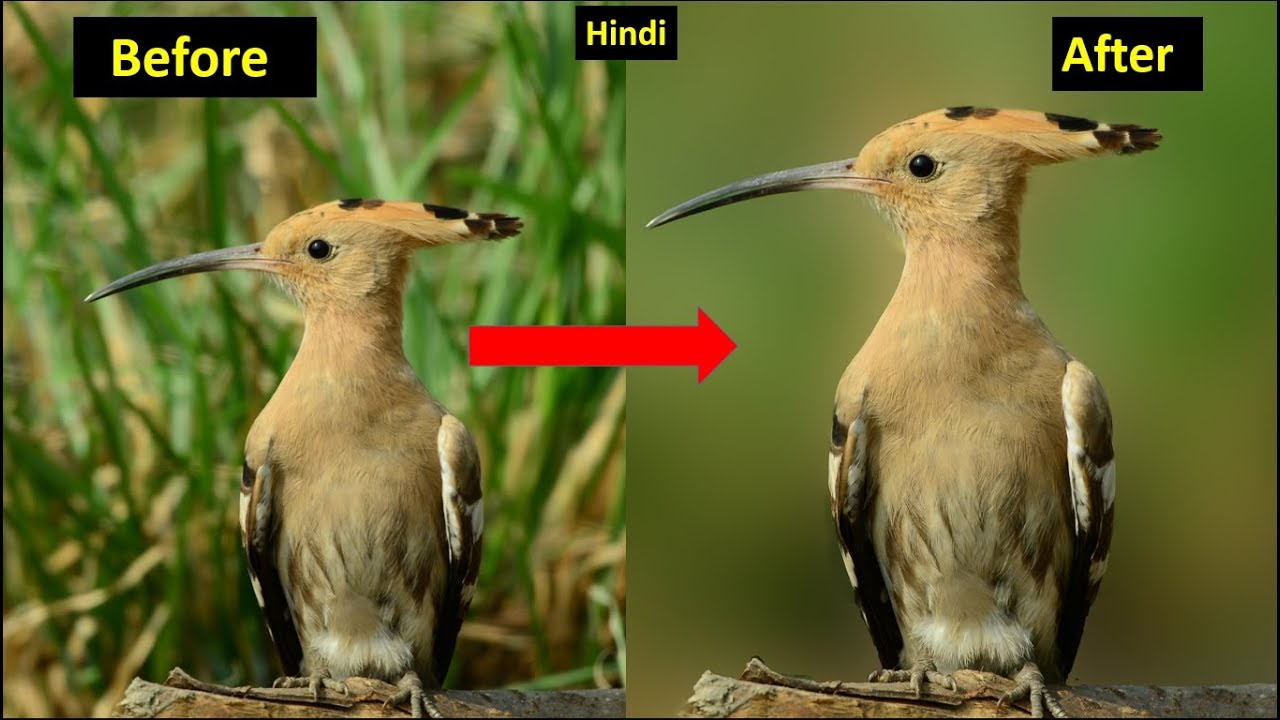 How to Blur Photo Background in Photoshop (Hindi).