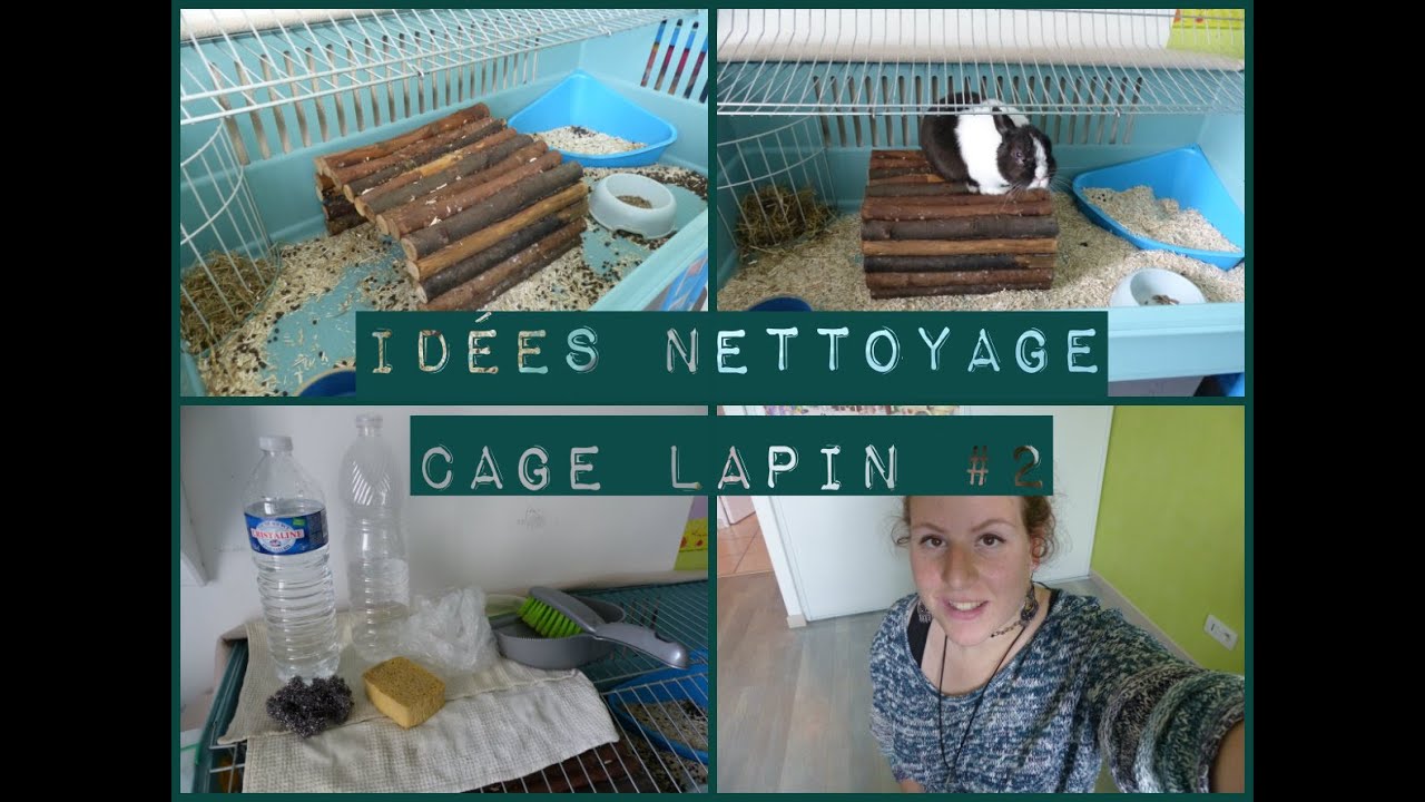 Tuto _ Comment nettoyer la cage d'un lapin ? (exemple #2)