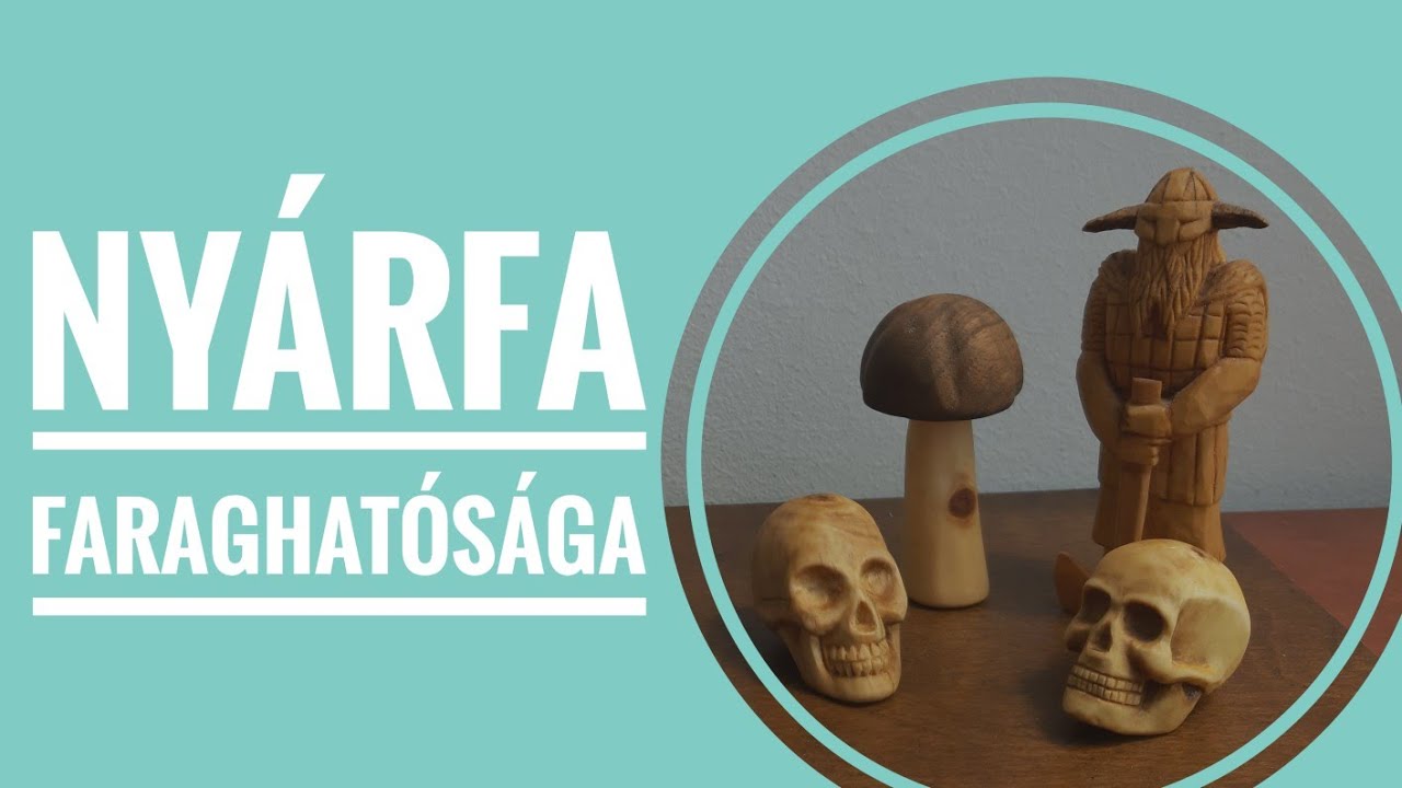Nyárfa faraghatósága