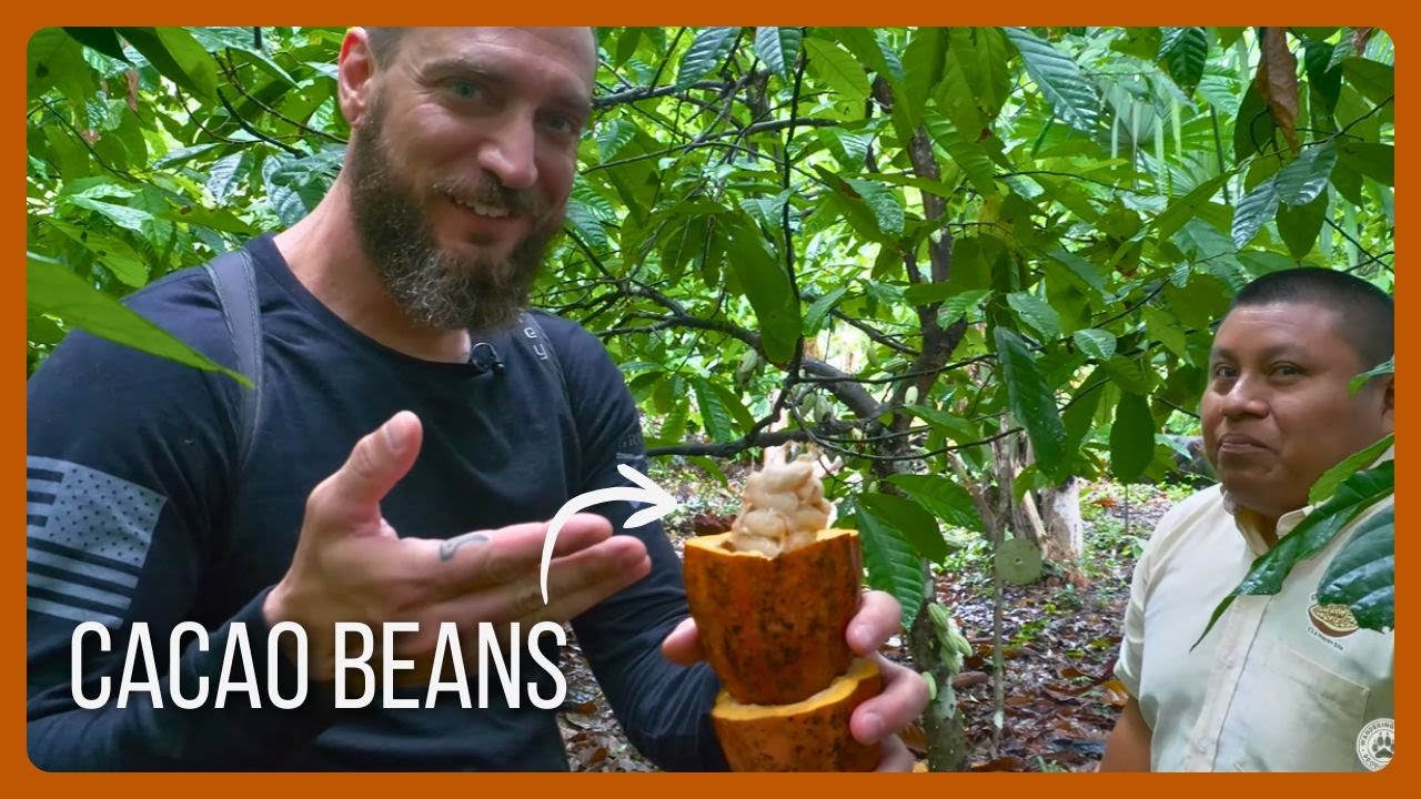 Making Maya Chocolate with Ajaw Chocolate & Crafts - Belize