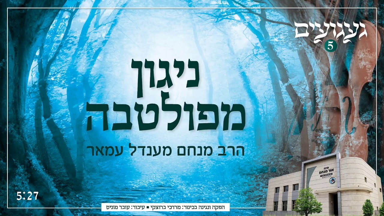ניגון מפולטבה | הרב מנחם מענדל עמאר | געגועים 5